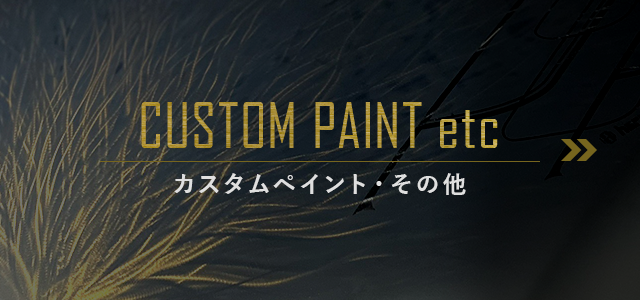 sp_bnr_custom_paint